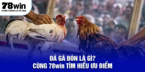 Đá gà đòn 78win